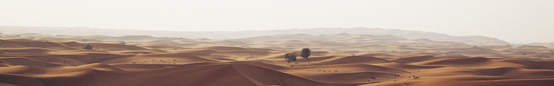 ȤڴϢƼ޹˾